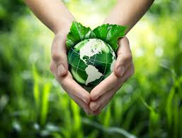 Hands holding a small green globe representing saving environment