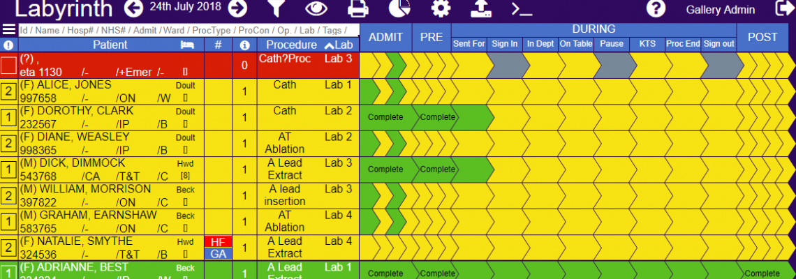 Example of Labyrinth software interface Daily Lab List