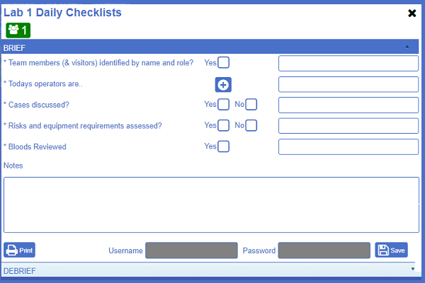 Example image of NATSSIPS safety checklists "briefing" page