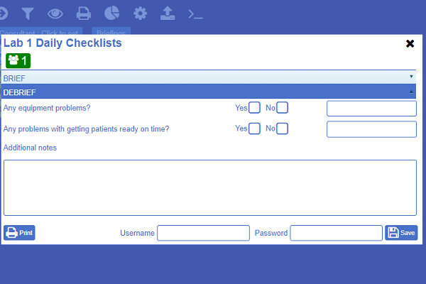 Example image of  NATSSIPS safety checklists "debriefing" page