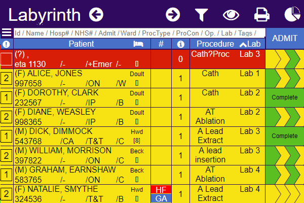 Example of Labyrinth software interface showing a monthly case list 
