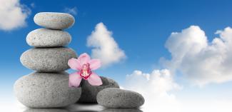 Zen stones and flower with blue sky and clouds 