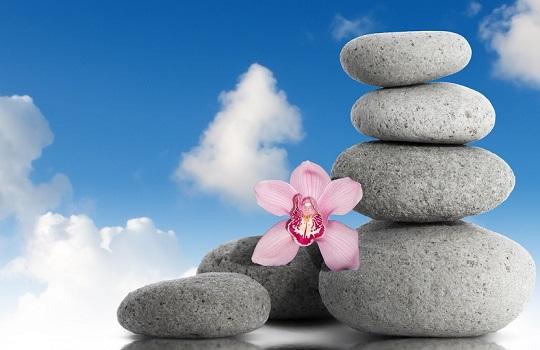 Zen stones with orchid flower with blue sky and clouds background