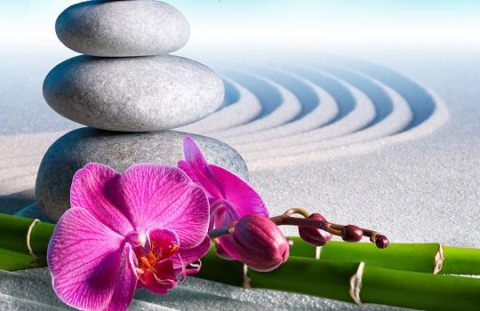 Zen stones and orchid flower with green reeds on rippling sand