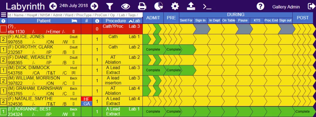 Example of Labyrinth software interface Daily Lab List