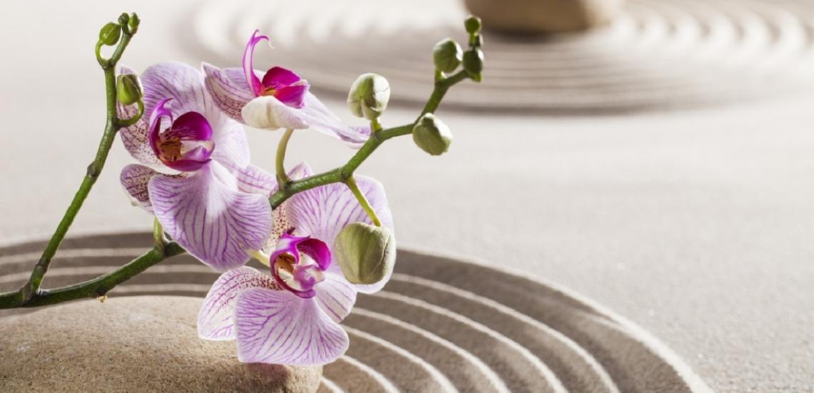 Lilac orchid flowers with green stems on rippling sand