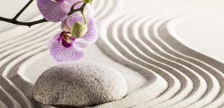 Zen lilac orchid flowers with green stems on rippling sand