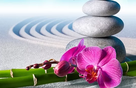 Zen stones and orchid flower with green reeds on rippling sand