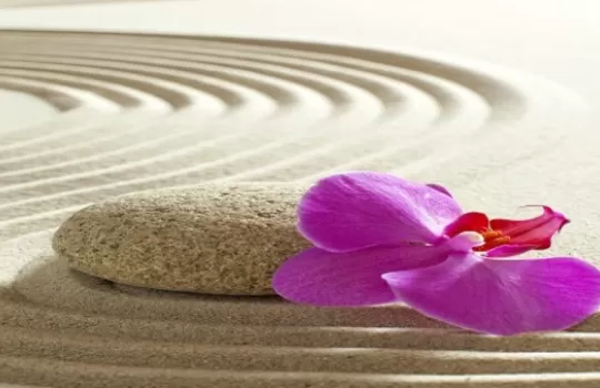 Purple orchid flower on rippling zen sand