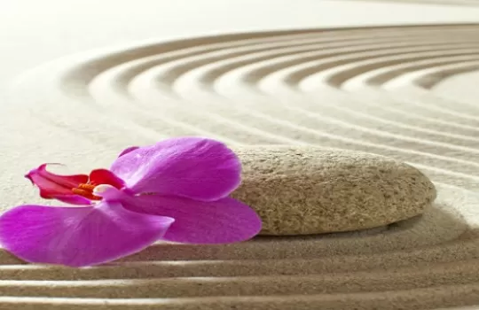 Purple orchid flower on rippling zen sand