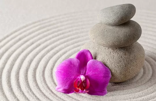 Zen stones and orchid flower on rippling sand